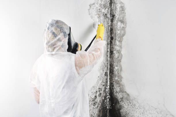 Best Water damage restoration mold remediation  in Montgomery, PA