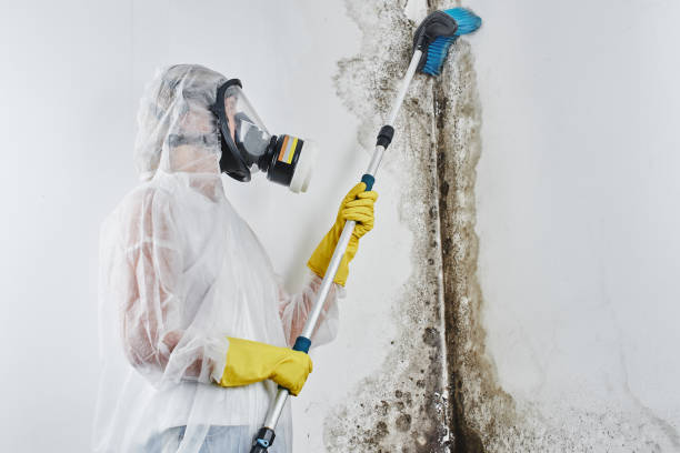 Best Commercial water damage restoration  in Montgomery, PA